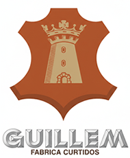 Logo Casa Guillem